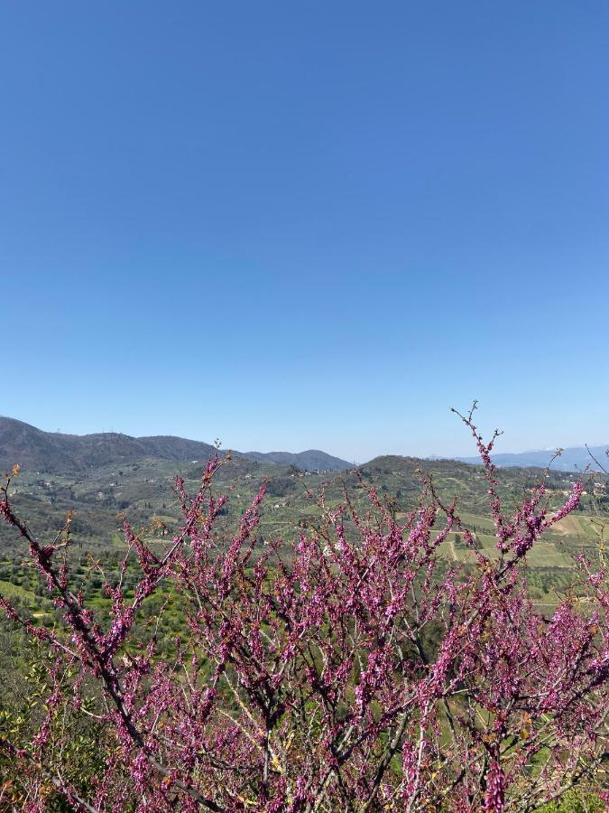 B&B La Rocca 까르미냐노 외부 사진